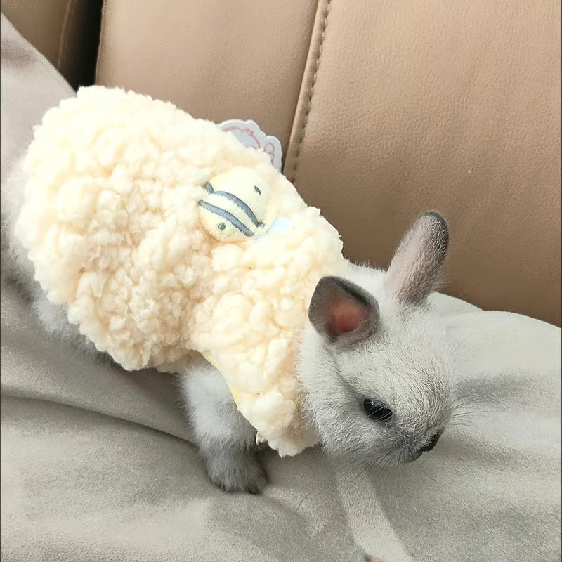 Winter Clothing Newborn - Maglione Invernale Caldo per Coniglietti, Chinchilla,