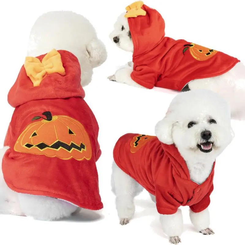 Winter Clothing Photo - Nuovo vestito per animali domestici festival