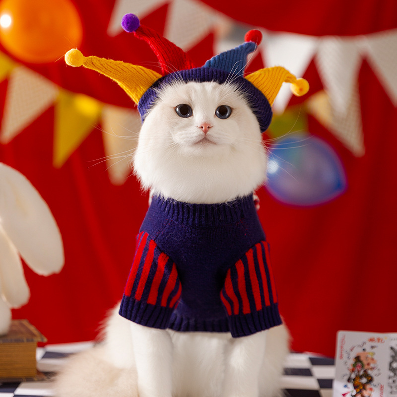 Simpatico maglione per cani da - Winter Clothing Kit recensione e prezzo