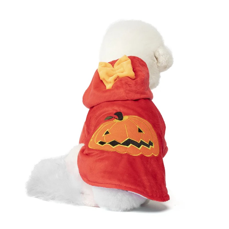 Nuovo vestito per animali dome - Winter Clothing Photo recensione e prezzo