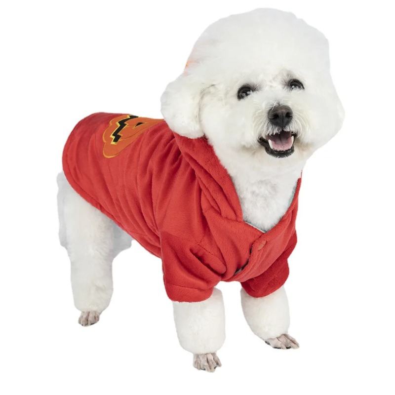 Nuovo vestito per animali dome - Winter Clothing Photo recensione e prezzo